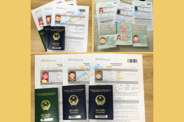 lí do rot visa han quoc- quang minh visa